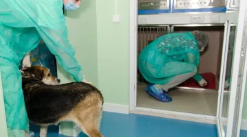 Ветеринарный центр Северное Сияние изображение 1