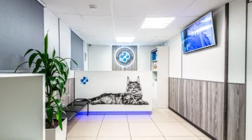 Ветеринарный центр Северное Сияние изображение 16