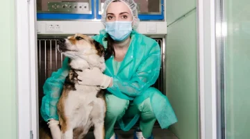 Ветеринарный центр Северное Сияние изображение 7